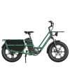 Fiido T2 Cargo 7v Verde Bicicleta Eléctrica hasta 140km Bateria 1000Wh